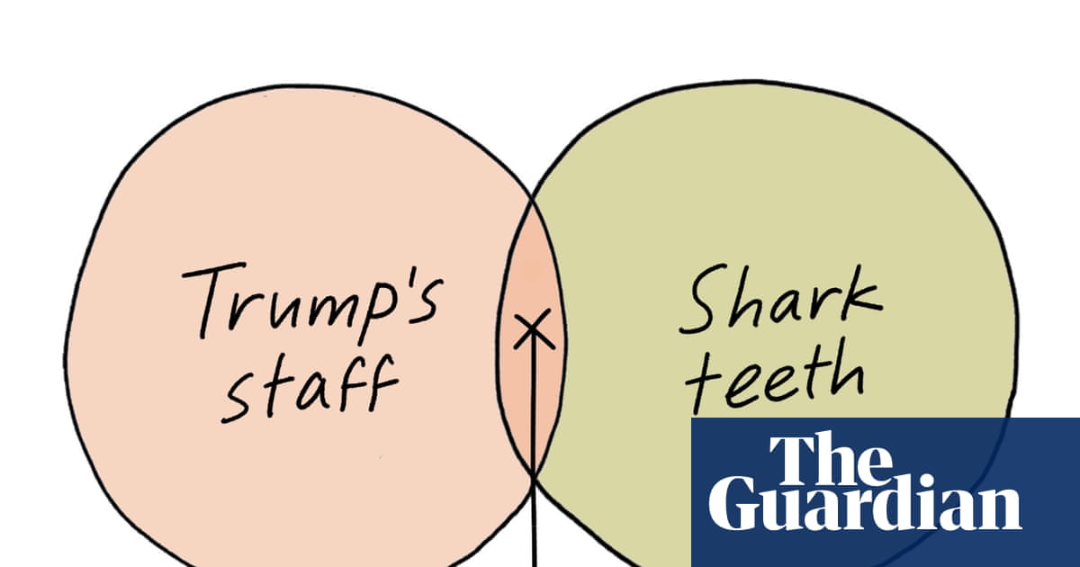 From Trump’s staff to buttering a jacket potato: Edith Pritchett’s week in Venn diagrams – cartoon