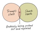 From Trump’s staff to buttering a jacket potato: Edith Pritchett’s week in Venn diagrams – cartoon
