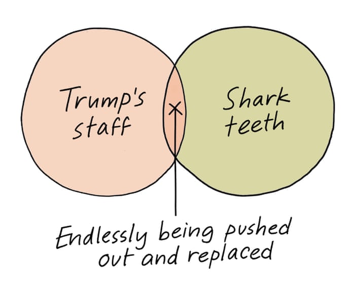 From Trump’s staff to buttering a jacket potato: Edith Pritchett’s week in Venn diagrams – cartoon