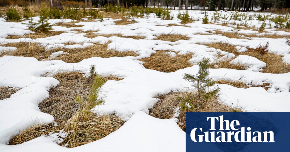Първото проучване за сезона показва сняг с 25 от историческата