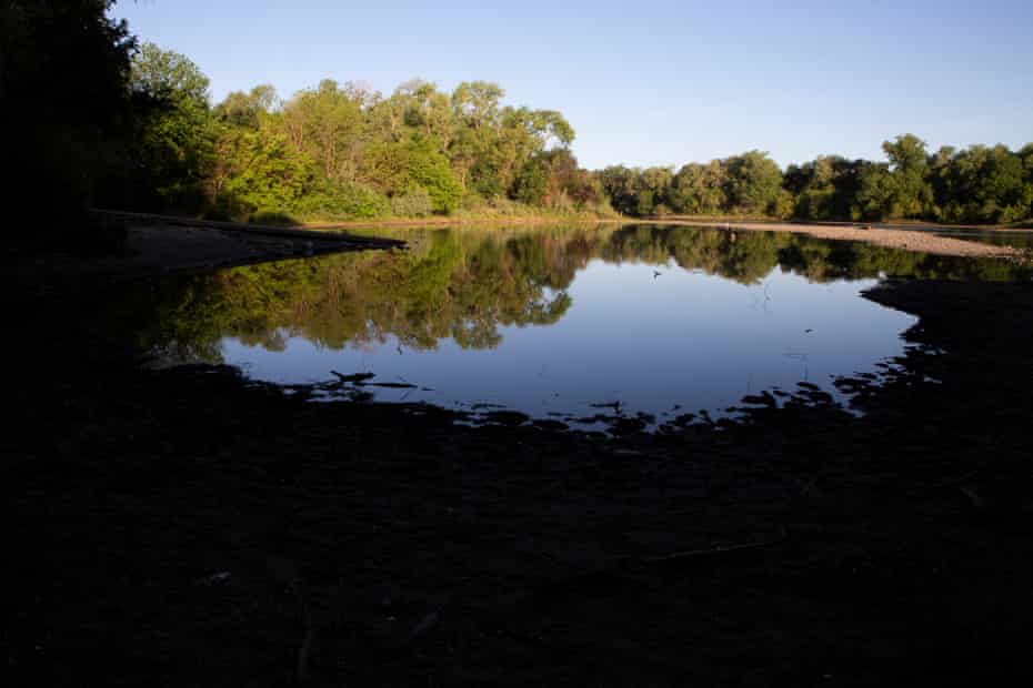 La rivière américaine, frappée par la sécheresse, est trop chaude pour que le saumon puisse se rendre dans l'océan Pacifique.