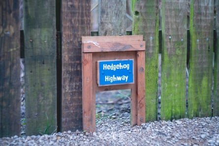 Hedgehog gate at a local nature reserve