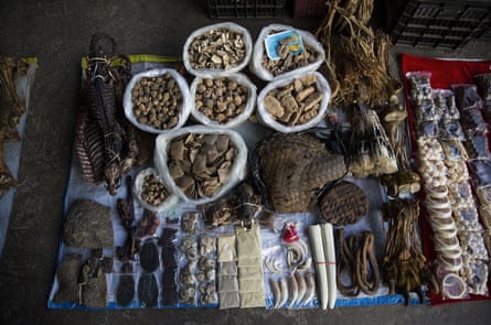 Elephant skin, a tiger claw, ivory and porcupine quills displayed at a small market stall in Mong La, Myanmar.