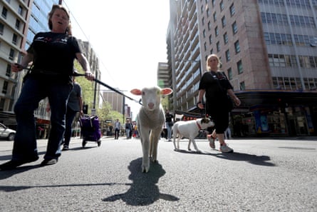 Anti- live export protestors march in Adelaide.