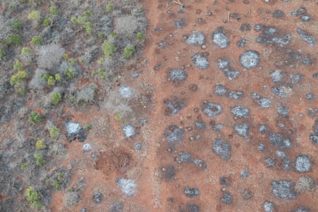 Cleared land with grey patches that appear to have been caused by burning