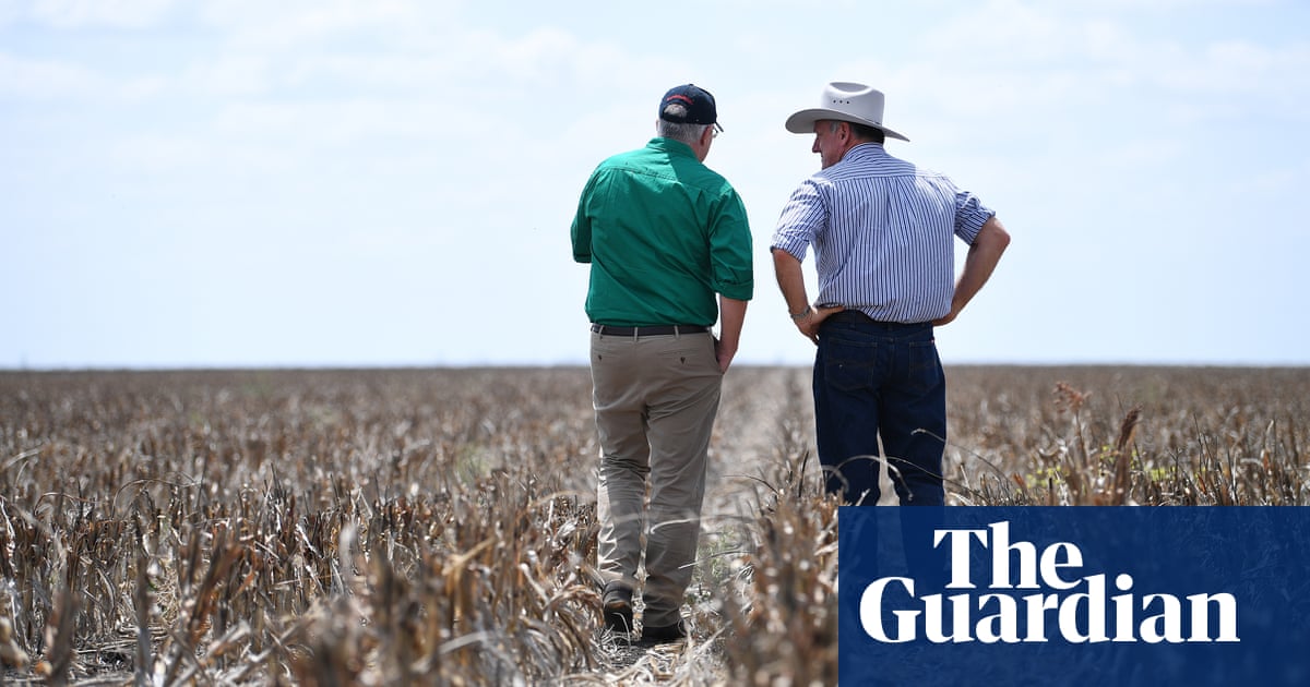 Climate change has cut Australian farm profits by 22% a year over past 20 years, report says - The Guardian