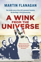 A Wink from the Universe by Martin Flanagan