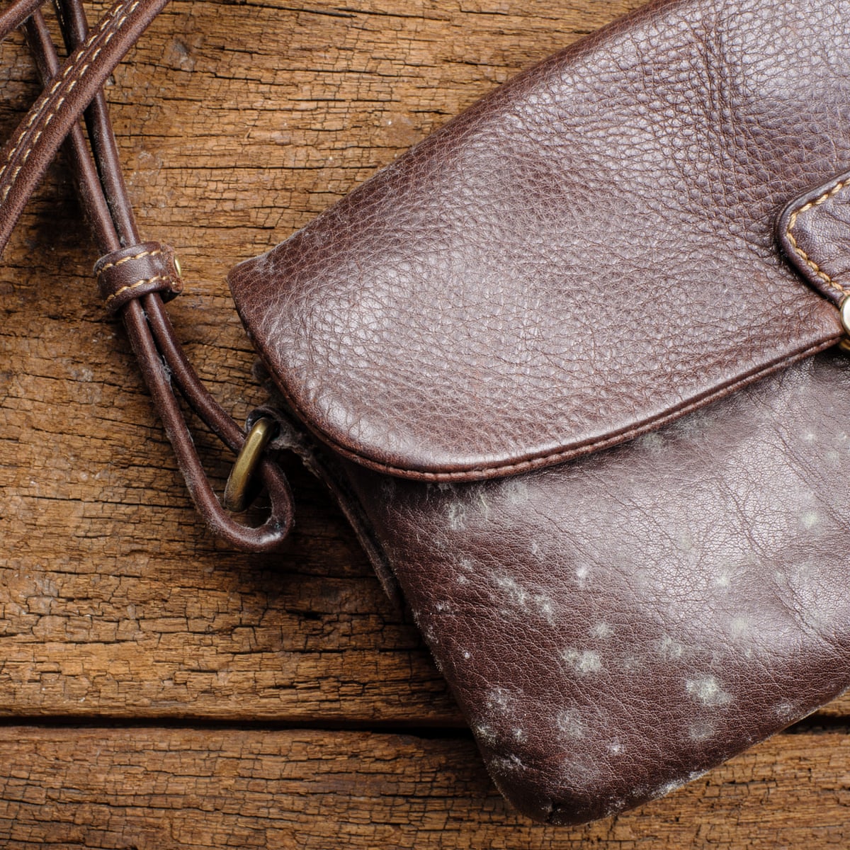 Mildew On Fabric mildew-on-fabric