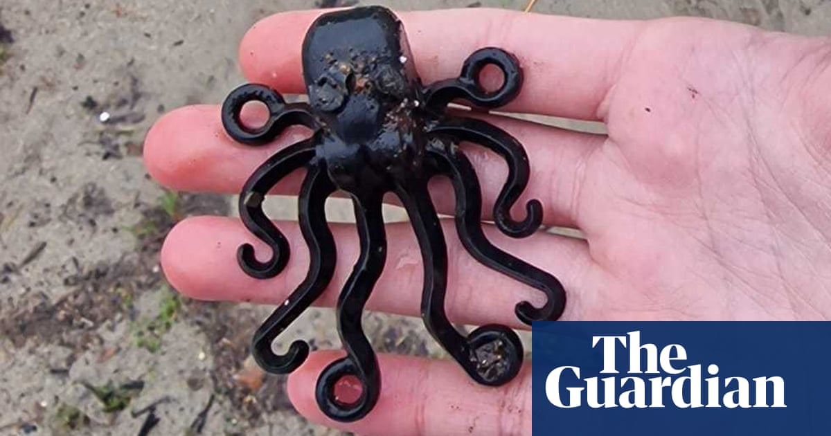 Teenager finds ‘holy grail’ Lego octopus from 1997 spill off Cornwall coast | Lego