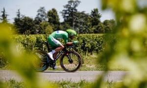 Cavendish among the vines.