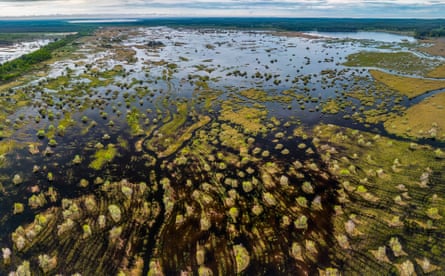 Wetlands in the Etang de Cusso Nature Reserve