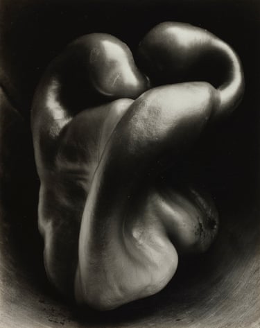 Pepper, 1930His photography became language, sculpture, a gaze.Weston transforms not only the overlooked and mundane into works of art (just as his peppers became sculptures), but also invents a form of photographic modernist abstraction that,