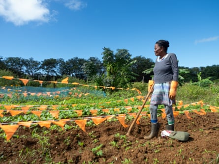 An older woman holding a gardening tool surveys rows of vegetables