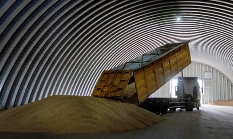 A truck unloads grain in a granary in Ukraine