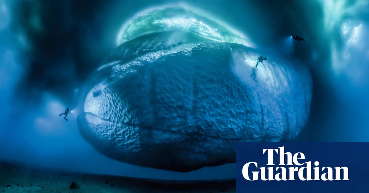 El lado oculto de un iceberg: la mejor fotografía de Laurent Ballesta | Arte y diseño El lado oculto de un iceberg: la mejor fotografía de Laurent Ballesta | Arte y diseño