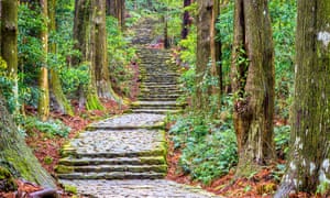 The Daimonzaka pathway to the Nachi shrine.