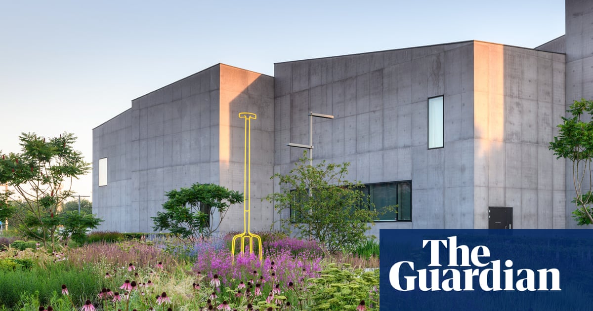 ‘If a space is cared for, everything improves’: Meet four gardeners transforming their urban communities