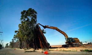 A construction crew works on a fallen section of the US-Mexico border wall.