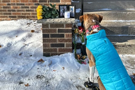 a dog wearing a blue vest sits near a small memorial featuring flowers, a candle and two framed photographs