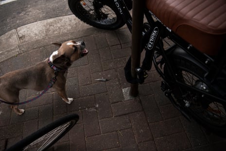 A dog and an ebike