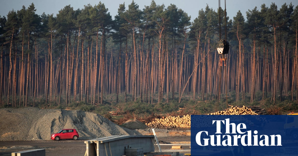 Lizards and snakes bring halt to work on Tesla plant near Berlin