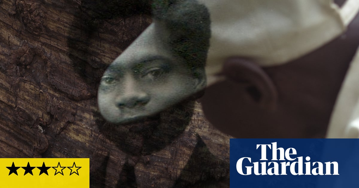 The Tree of Authenticity review talking tree explains Congo's struggle to overcome colonial past
