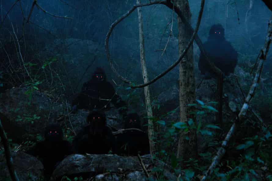 A surreal moment from Uncle Boonmee Who Can Recall his Past Lives.