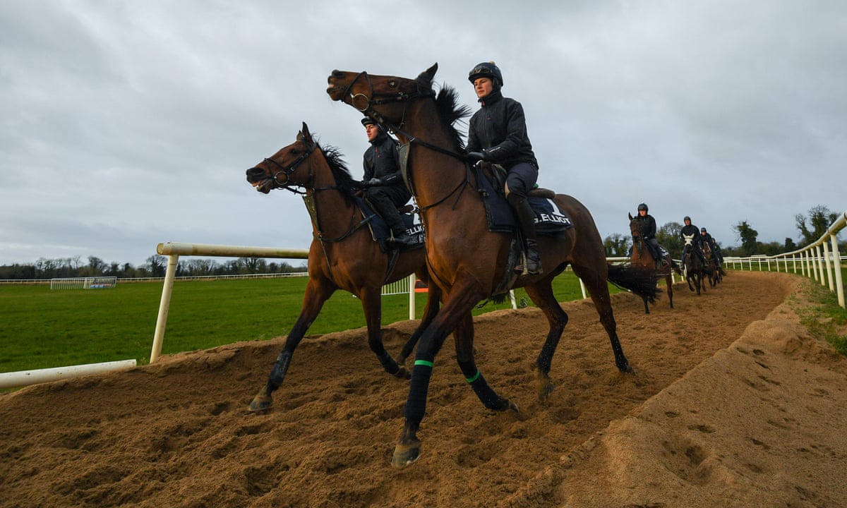Tiger Roll Would Struggle In Gold Cup Despite Lofty Rating Says Elliott Sport The Guardian