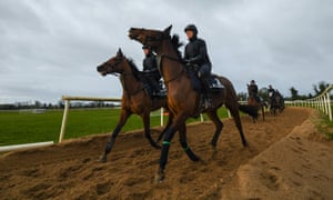 Tiger Roll Would Struggle In Gold Cup Despite Lofty Rating Says Elliott Sport The Guardian