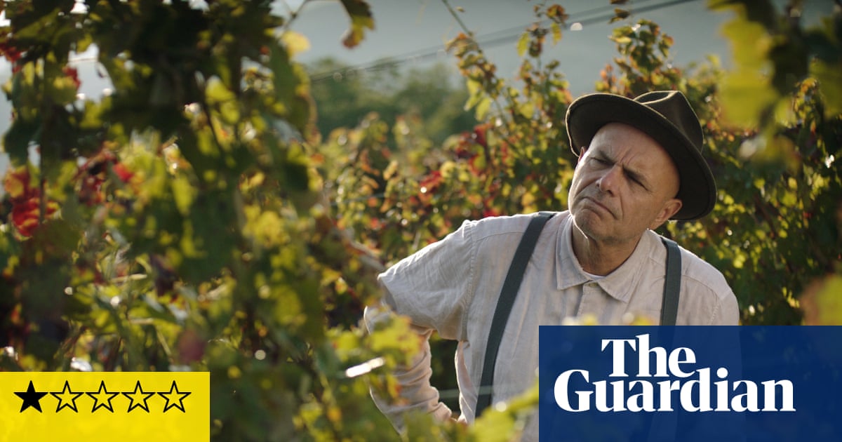 From the Vine review – laugh-free comedy of midlife Italian escape