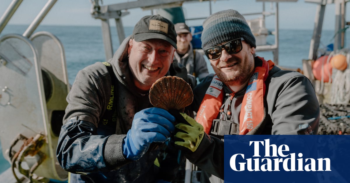 Accidental discovery that scallops love ‘disco’ lights leads to new fishing technique