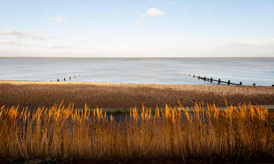 A reed-fringed shingle beach at Grain.