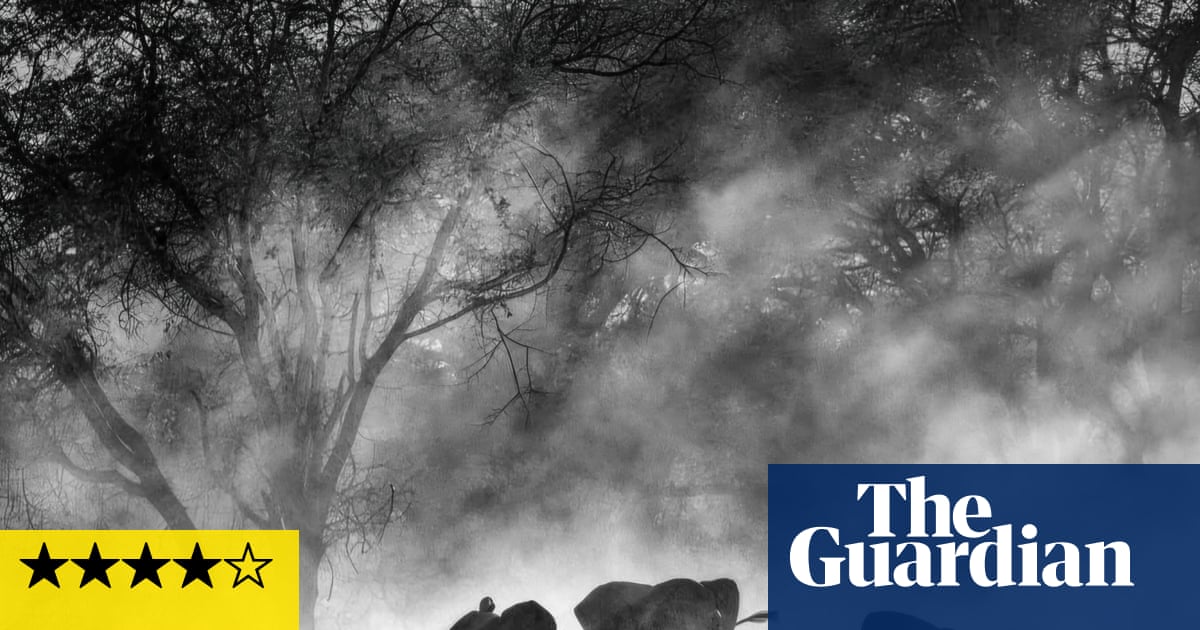 Ghost Elephants review Werner Herzog embarks on a mission to track down giant jumbos