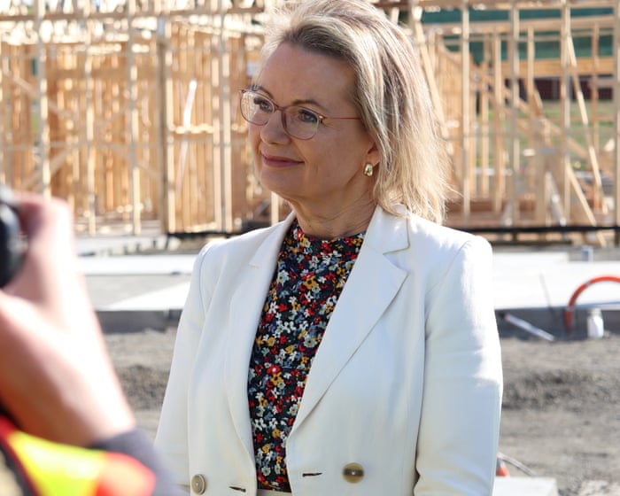 Senior Liberal insists ‘knives not being sharpened’ for Ley in messy wake of Nampijinpa Price demotion