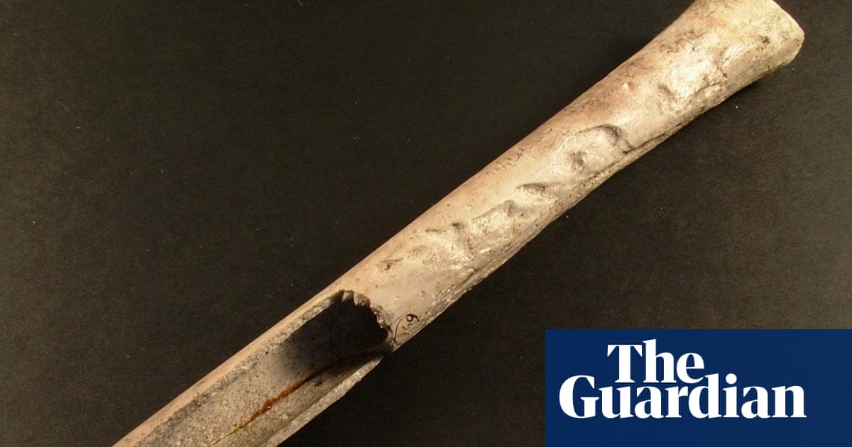 www.theguardian.com