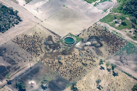 An aerial view shows squares of land with what appear to be cattle