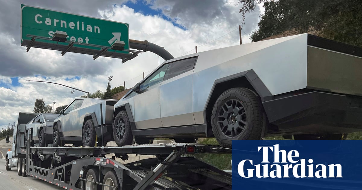 www.theguardian.com