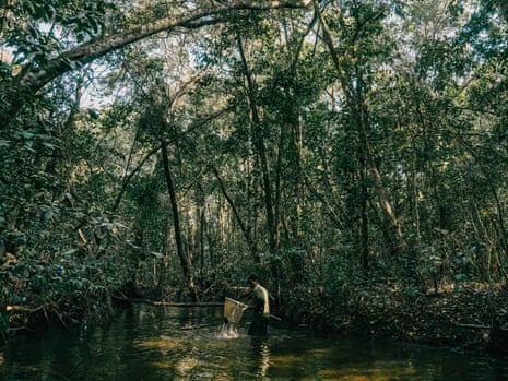Daniel Mukabila lifts a net from the water as he wades through a river