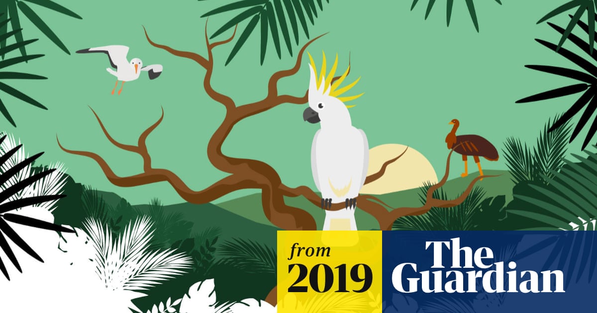 Australian bird of the year 2019 vote now for your favourite