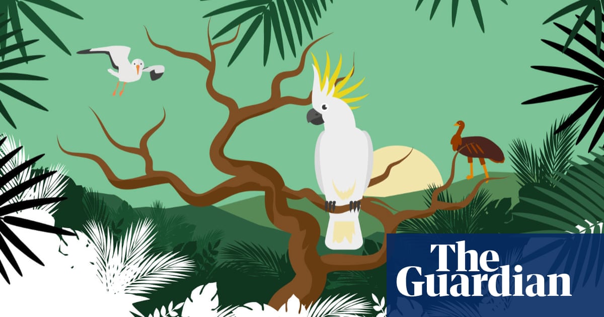 Australian Bird Of The Year 2019 Vote Now For Your Favourite