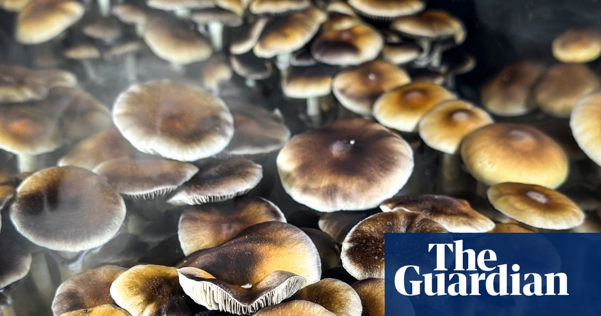 Trump is backing psychedelic research: here’s why – podcast
