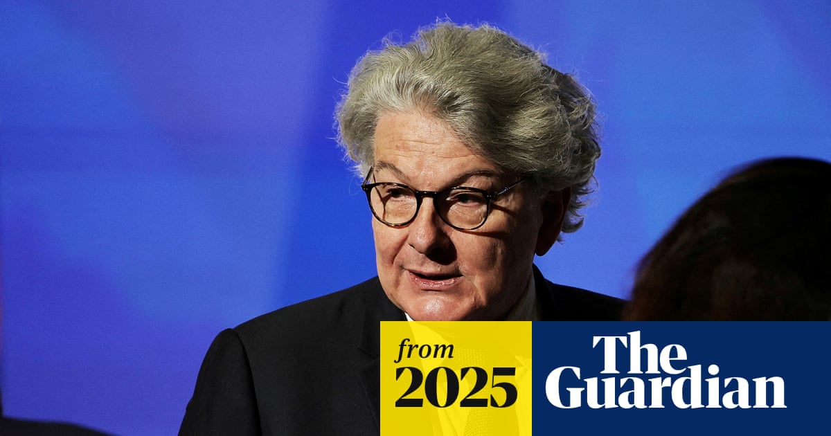 Musk ‘lying like hell’ over AfD interview, says ex-EU tech leader