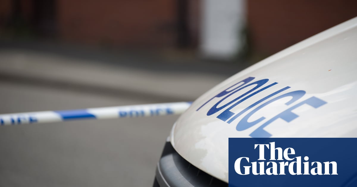 Man held after woman and son fatally stabbed in London
