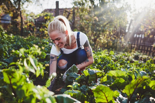 Woman farming on an organic farm