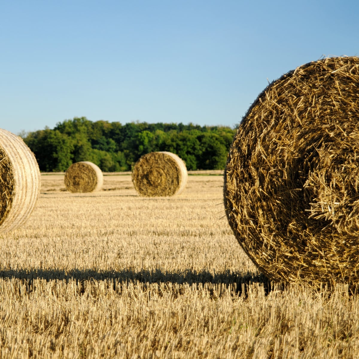 Victorian Farmer Dies After Being Trapped In Hay Baler For 36 Hours Rural Australia The Guardian