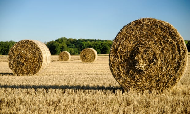 Victorian Farmer Dies After Being Trapped In Hay Baler For 36 Hours Rural Australia The Guardian Victorian Farmer Dies After Being Trapped In Hay Baler For 36 Hours Rural Australia The Guardian