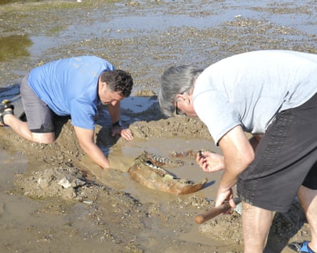 Scientists examining the remains of an ancient mammoth on the dried-up riverbed