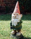 A gnome in a back garden.