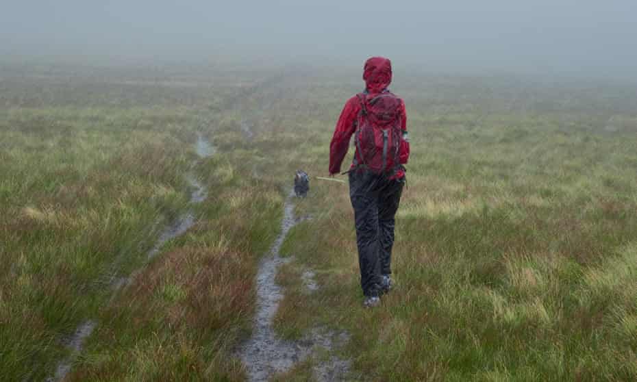 A hiker walking along with their dog in torrential rain on a hillside.