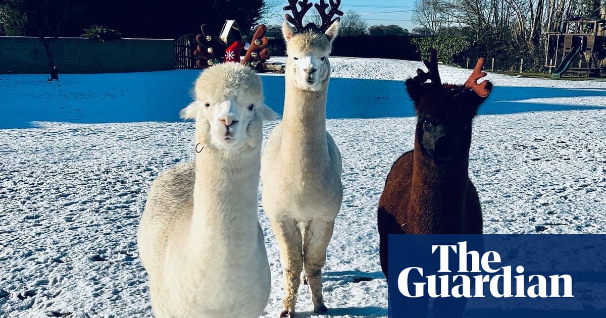 Избрахме Реймънд Рой и Родни като бебета Те са нежни